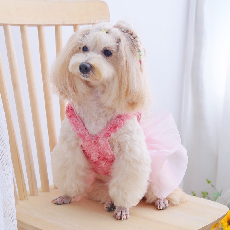 Rose Floral Cake Dress for Sma - Summer Rose Clothing のレビューと価格