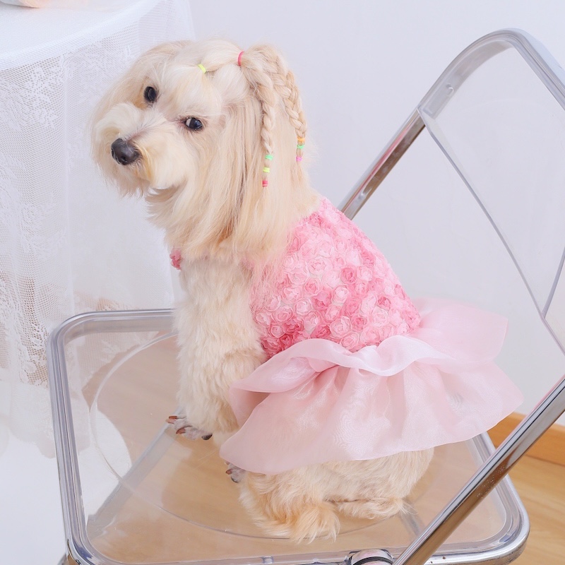 Rose Floral Cake Dress for Sma - Summer Rose Clothing のレビューと価格