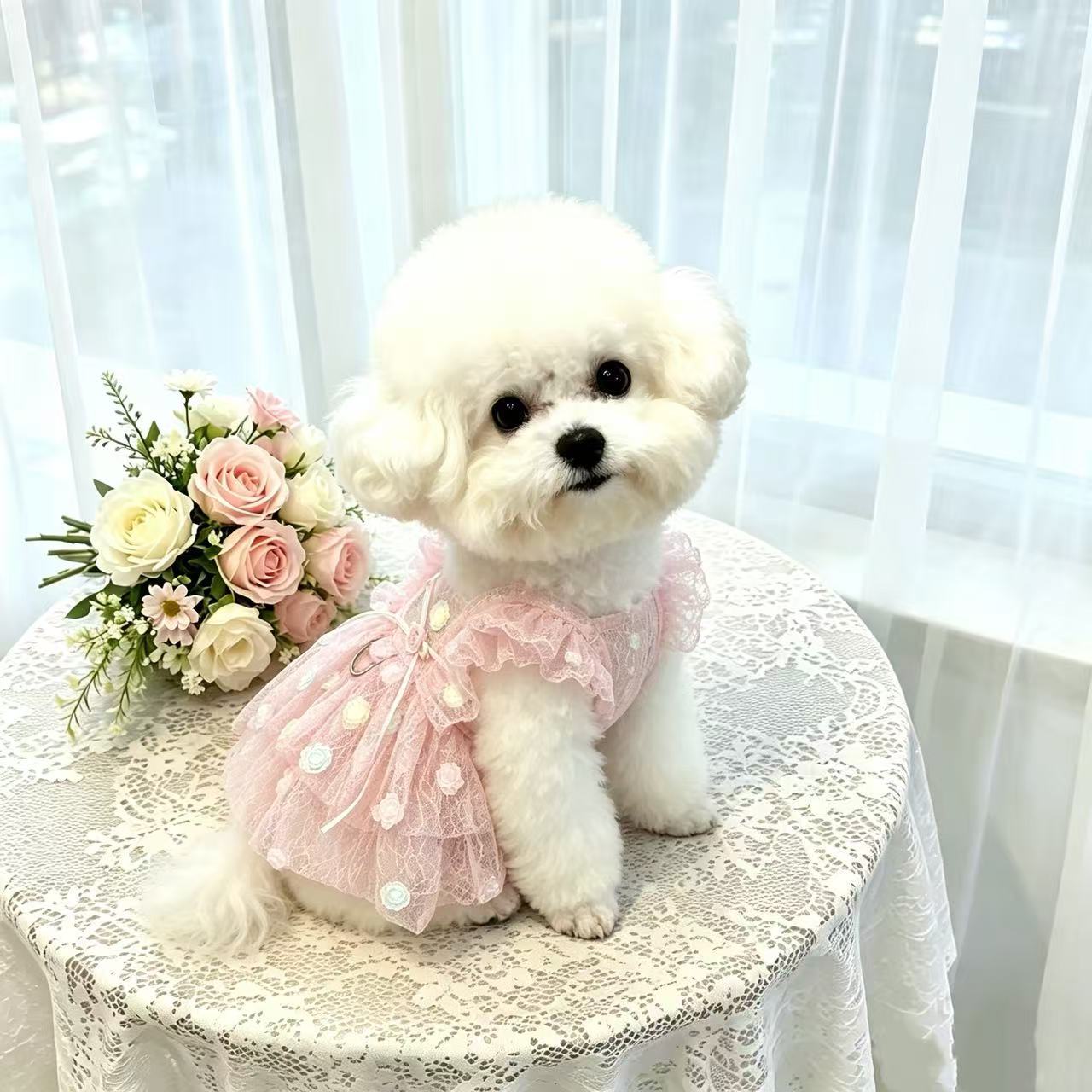Pet Spring & Summer Chiffon Pr - Summer Rose Clothing のレビューと価格