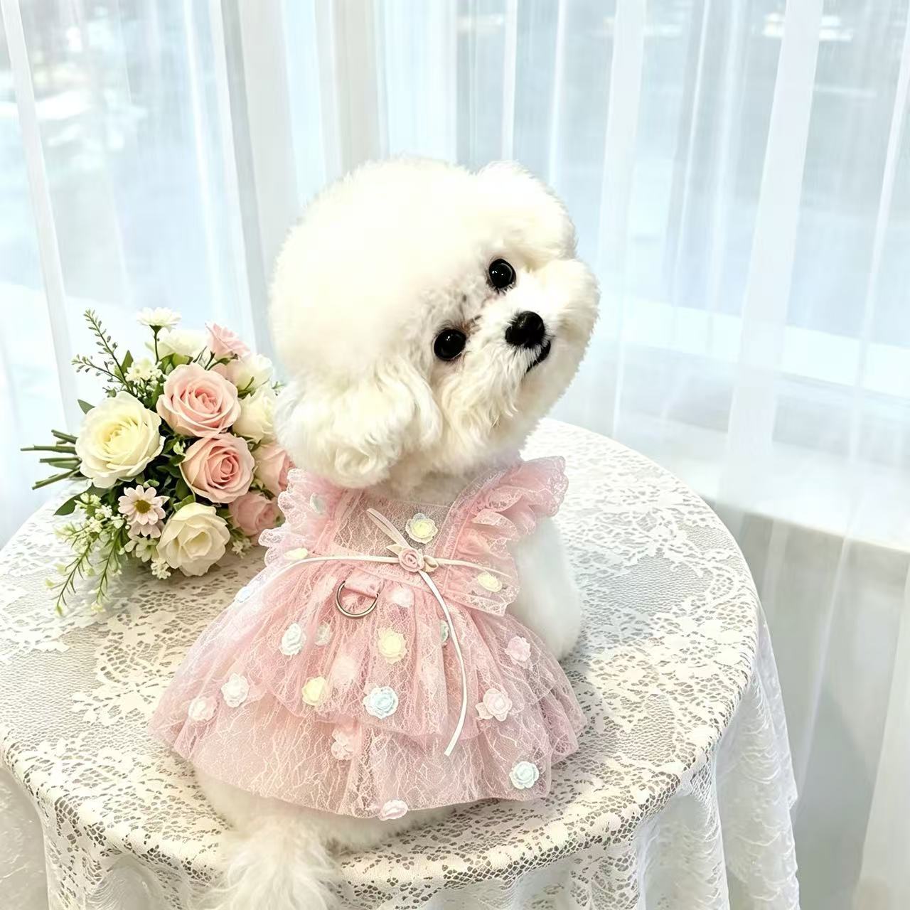 Pet Spring & Summer Chiffon Pr - Summer Rose Clothing のレビューと価格