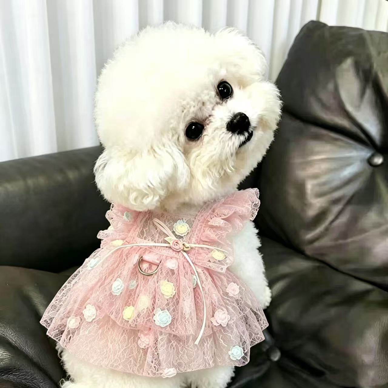 Pet Spring & Summer Chiffon Pr - Summer Rose Clothing のレビューと価格
