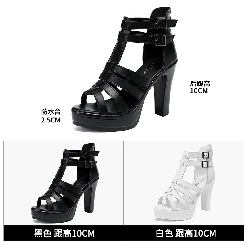 Gladiator Ladies Shoe for Wome - Summer Closet のレビューと価格